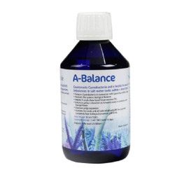 KZ A-Balance 1000ml