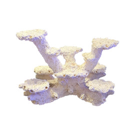 AquaCeramic Dual Pillar M