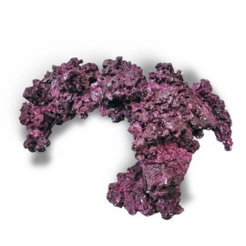 Real Reef Arches - XXL 1pc