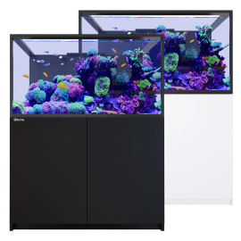 Red Sea Reefer S-550 G3
