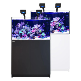 Red Sea Reefer Deluxe 300 G3