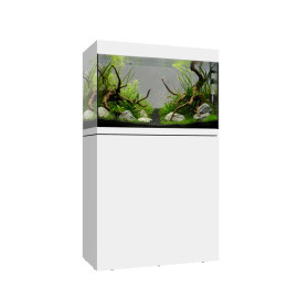 Waterbox EDEN 40 FLED