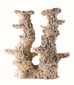 Arka reef column Wide 2 branches 50 cm