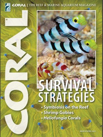 CORAL - Survival Strategies (MAR-APR´21)