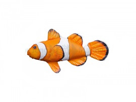 Nemo/Clown Fish Pillow - Medium