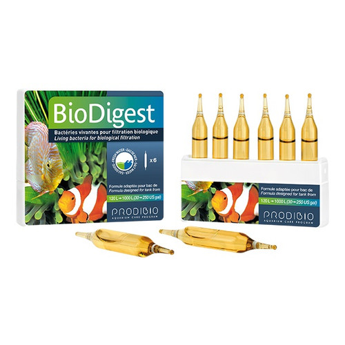 Prodibio BioDigest 6 Vials