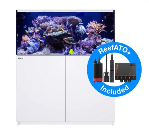 Red Sea Reefer G2+ XL 425