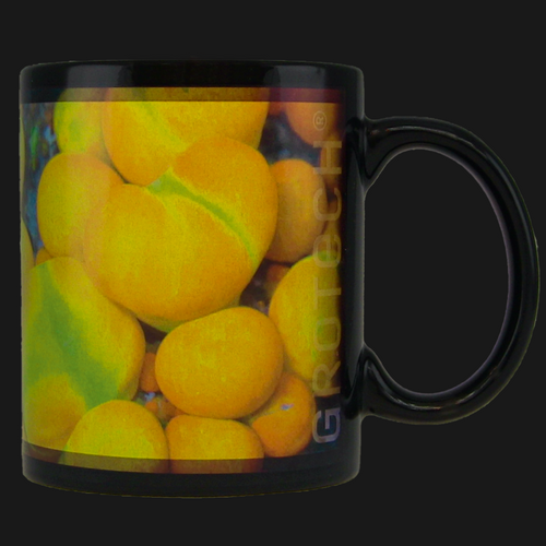 Grotech Theme Mug "Bubble Bounce" Mushroomcoral
