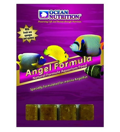 Ocean Nutrition Angel Formula 100g