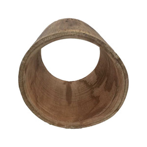 Hollow Log Hollow Log