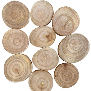Jempini Wood Slices by Papoose Toys Jempini Wood Slices by Papoose Toys