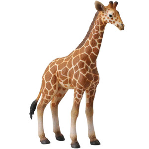 Reticulated Giraffe Calf Reticulated Giraffe Calf