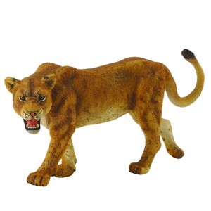 African Lioness
African Lioness