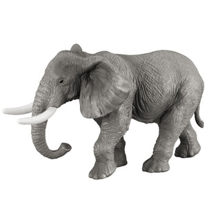 African Elephant African Elephant