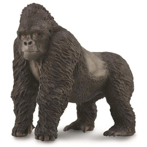 Mountain Gorilla Silver Back Mountain Gorilla Silver Back