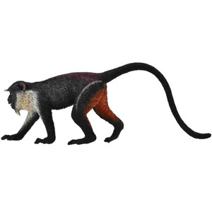 Diana Monkey Diana Monkey