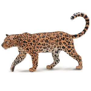 African Leopard African Leopard