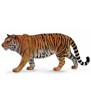 Siberian Tiger Siberian Tiger