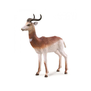Dama Gazelle Dama Gazelle