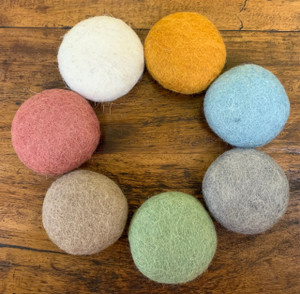 Earth Felt Coins Earth Felt Coins