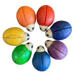 Rainbow Ladybirds Rainbow Ladybirds