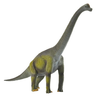 Brachiosaurus Dinosaur