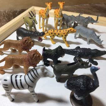 African Tube Wild Republic