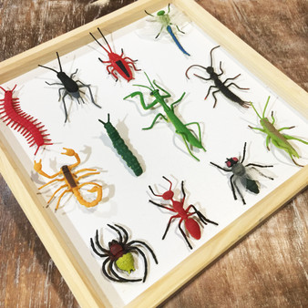 Insect Nature Tube - Wild Republic