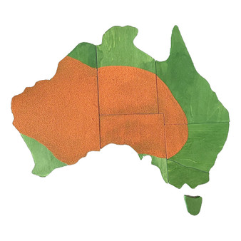 Australia Map Wooden Puzzle - painted and textured