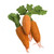 Dutch Carrots Felt Food by Papoose Toys Dutch Carrots Felt Food by Papoose Toys