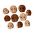 Mood Pebbles made of wood Mood Pebbles made of wood