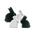 Achromatic Bunny Family Achromatic Bunny Family