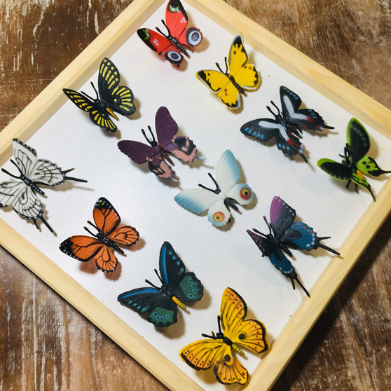 Butterfly Nature Tube - Wild Republic