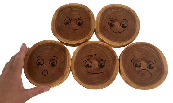 Wooden Mood Slices/5pc