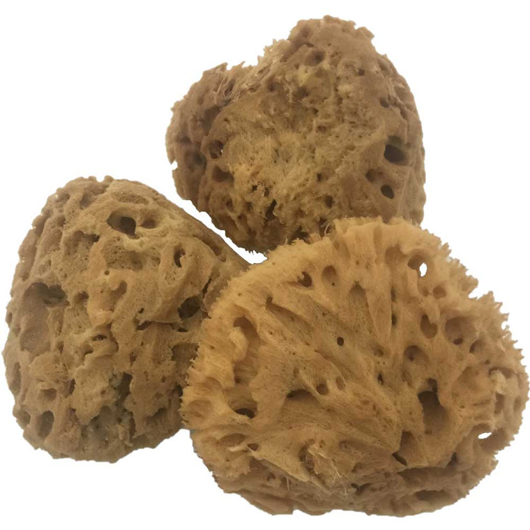 Natural Sponge 'wool'/3pc  by Papoose Toys|