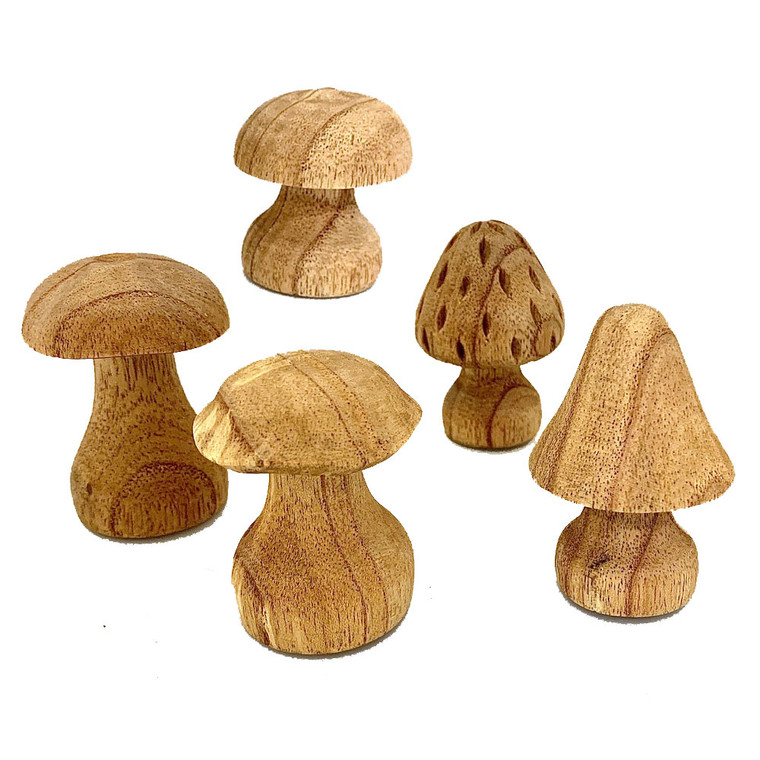 Hand Carved Wood Mushrooms 5pc | Papoose Toys