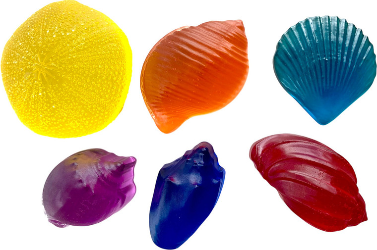 Bright Lucite Shell Set