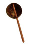 Natural coconut scoop ideal for water or sand play.