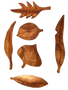 Hand Carved Wooden Forest Leaves