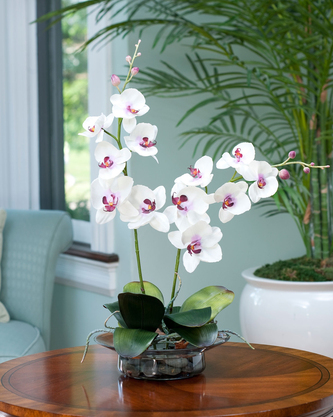 Phalaenopsis Silk Orchid 4167