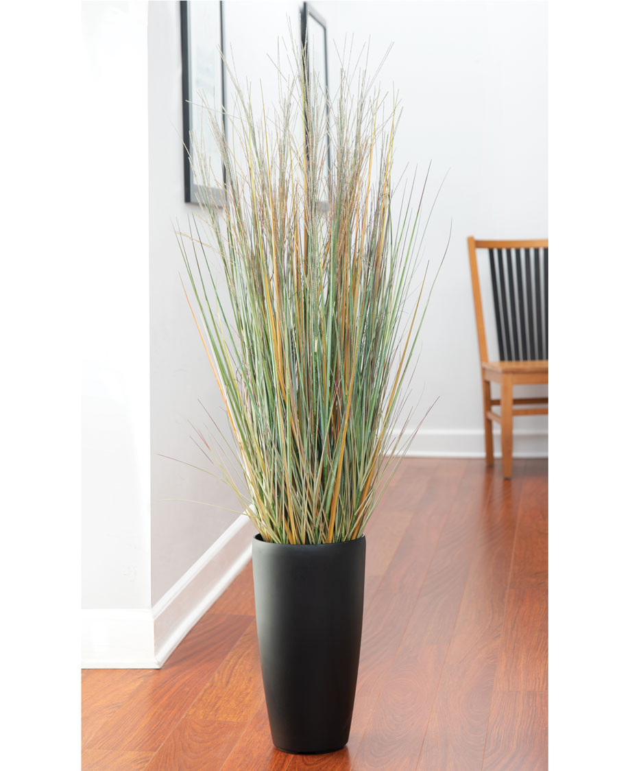asiatic lily Trendy Savannah Asiatic Lily – Southern Idaho Landscape Center main image 0