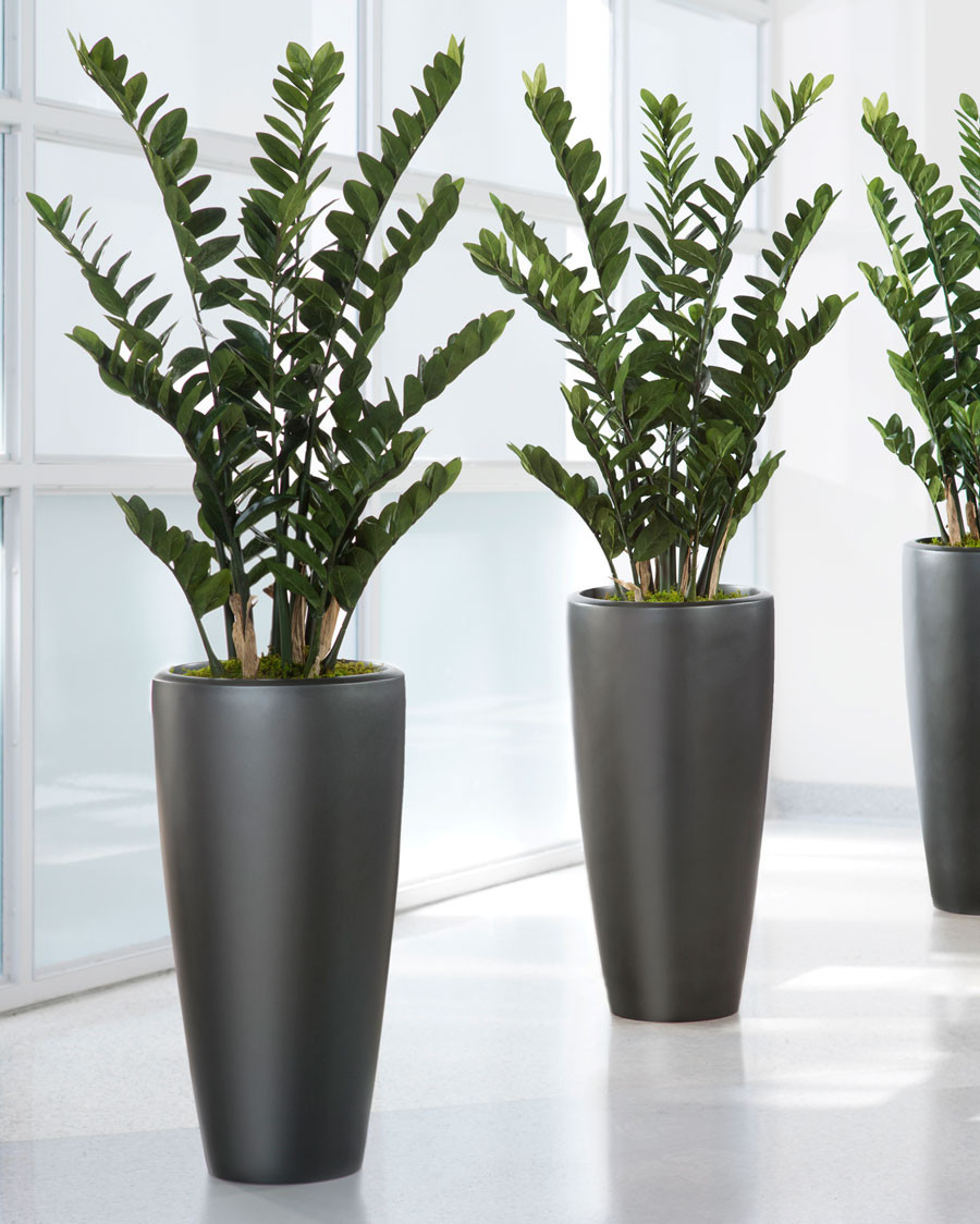 4' ZZ Silk Artificial Plant