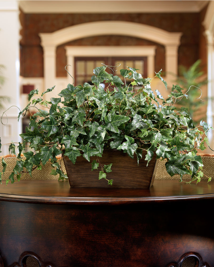 English Ivy Silk Planter