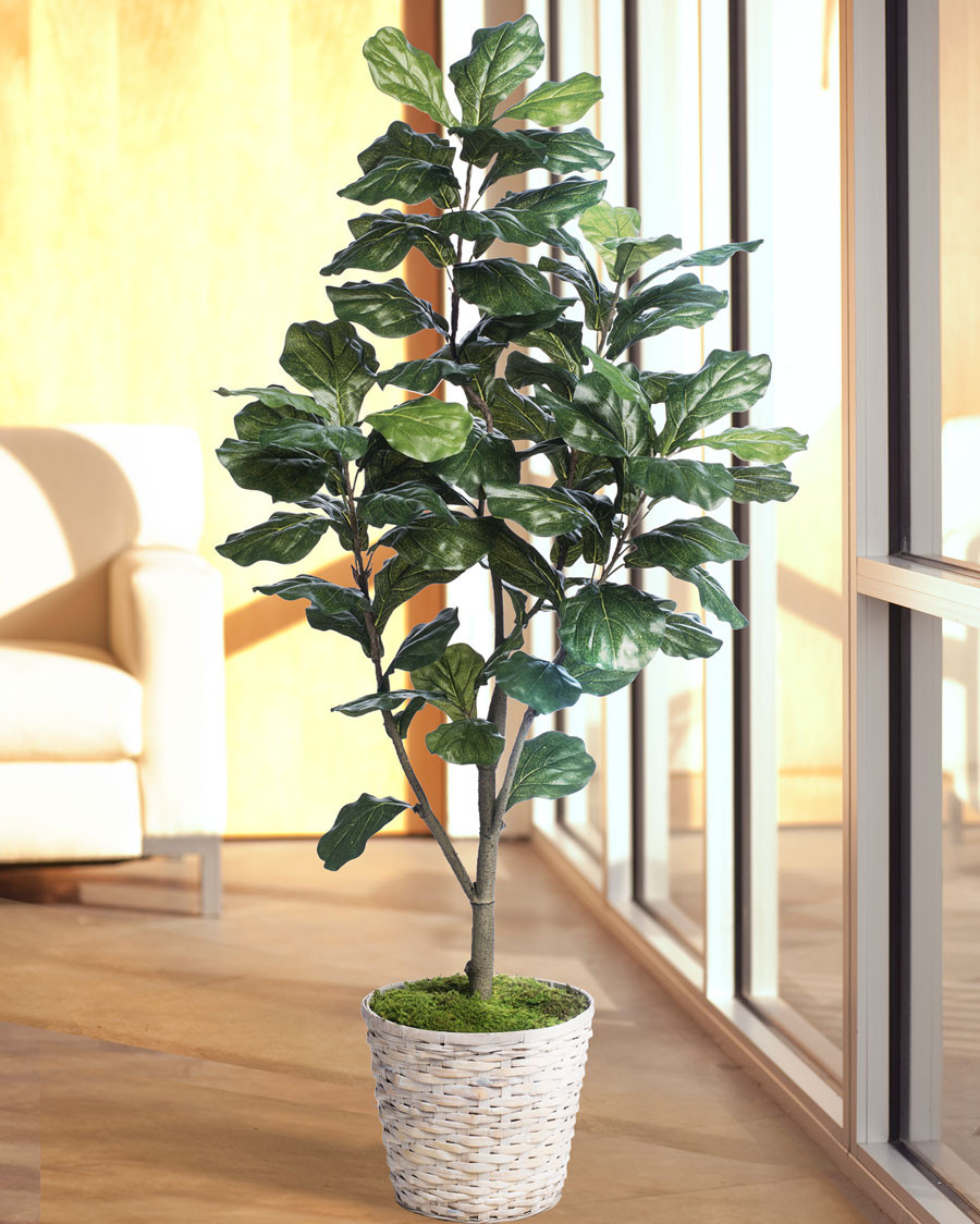 5' Single Trunk Fiddle Leaf Fig Silk Tree