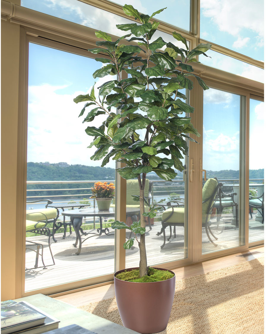 7' Single Trunk Fiddle Leaf Fig Silk Tree