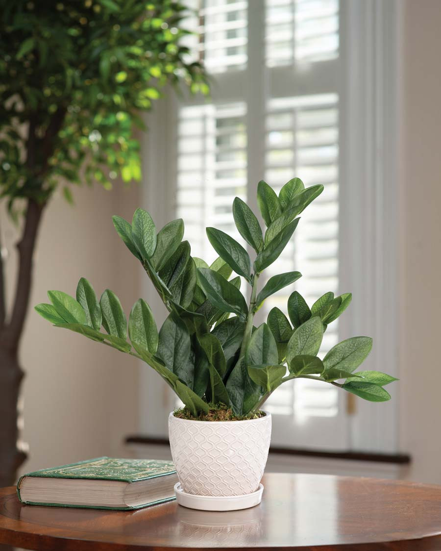 Buy eye-catching, dramatic, and lush green faux ZZ Plant at Petals.