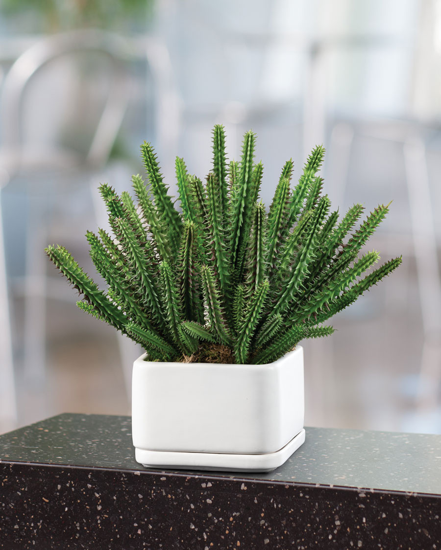 Desktop Cactus Faux Succulent Planter