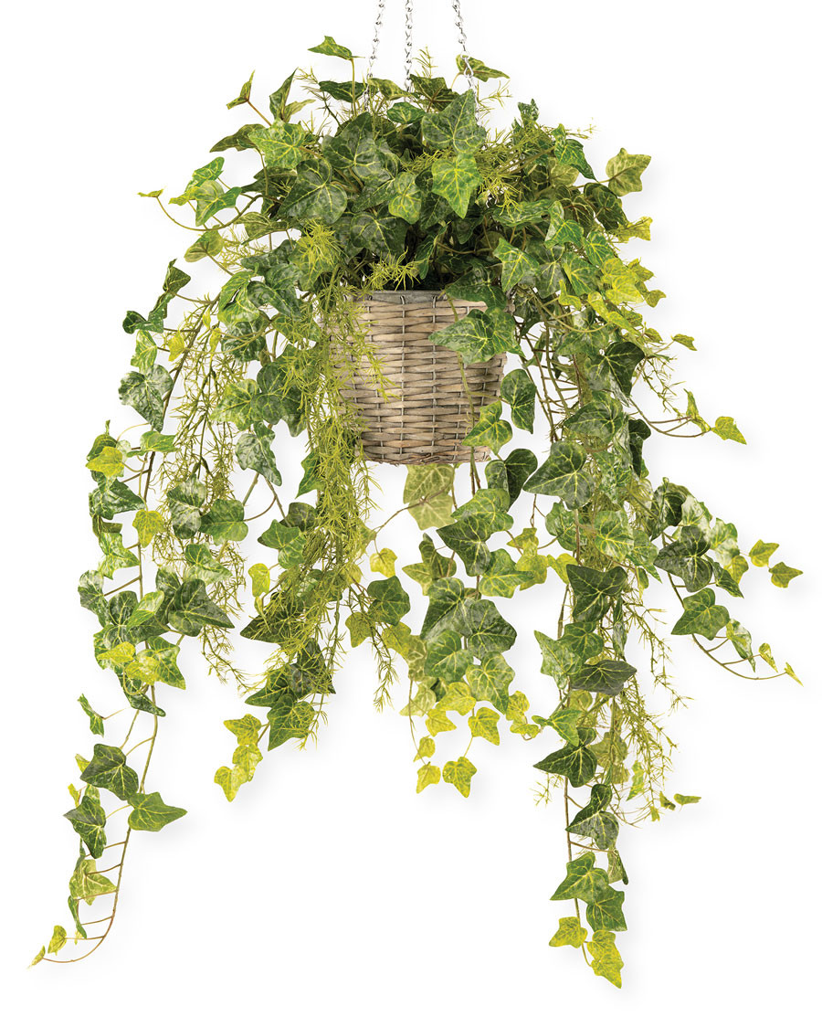 Hanging English Ivy Silk Foliage Planter