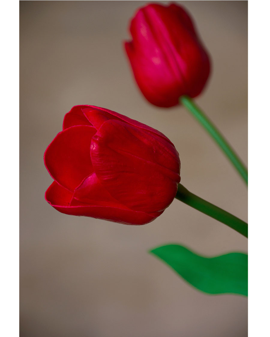 27" Silk Tulip Flower Stem