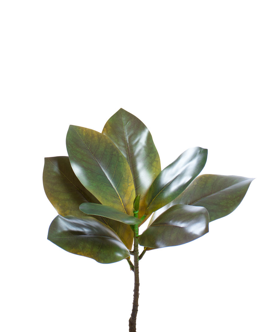 17.5" Artificial Magnolia Leaf Foliage Cluster